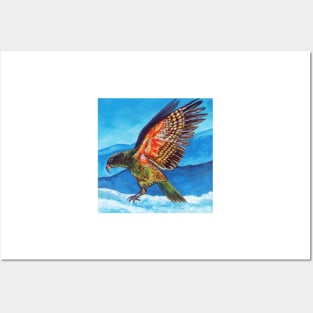 Kea in the Snow by Ira Posters and Art